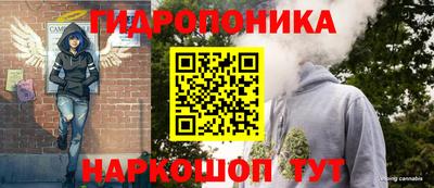 прущие крисы Кингисепп