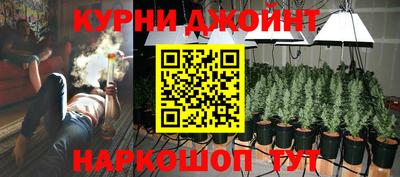 прущие крисы Кингисепп