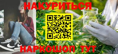 прущие крисы Кингисепп