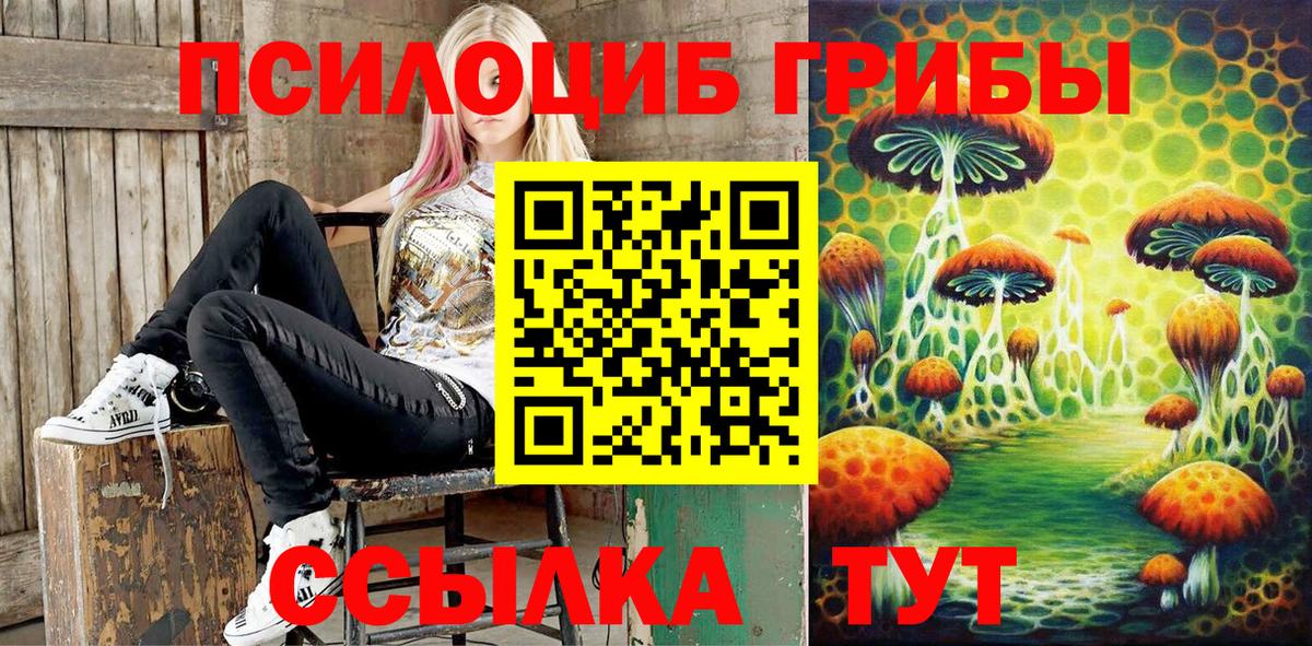 Псилоцибиновые грибы мицелий Кохма